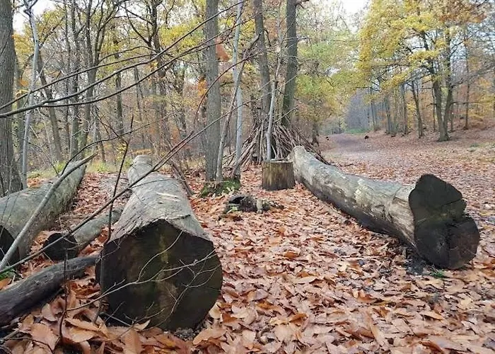 La Foret Apartmán *