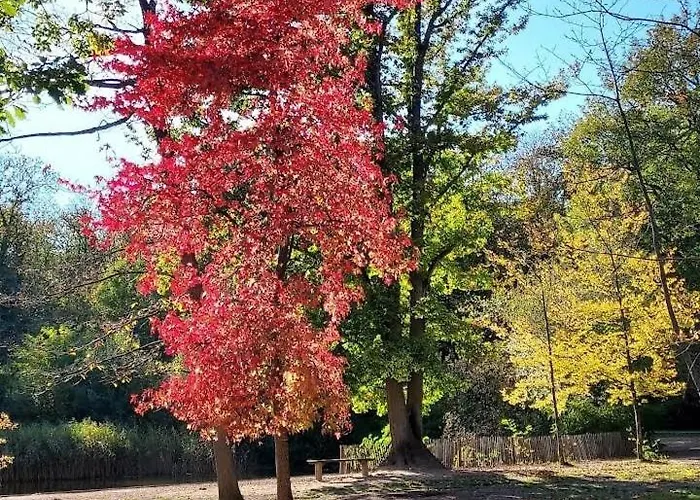 La Foret * Taverny